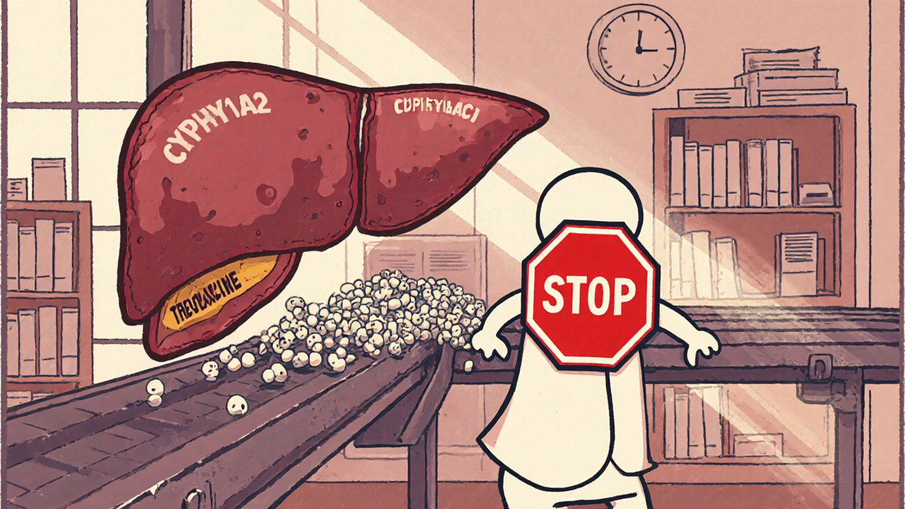 Liver factory scene showing ciprofloxacin blocking enzyme, causing theophylline buildup.